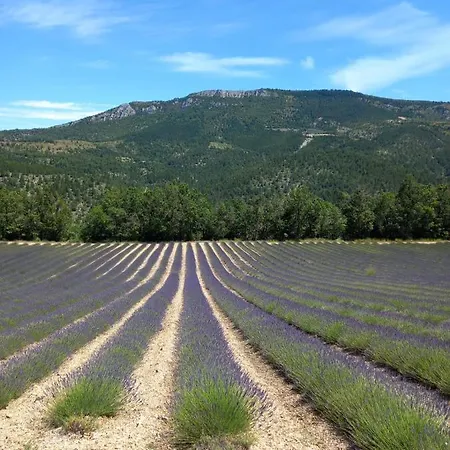 Villa La plume du Ventoux à Mollans-sur-Ouvèze Extérieur photo