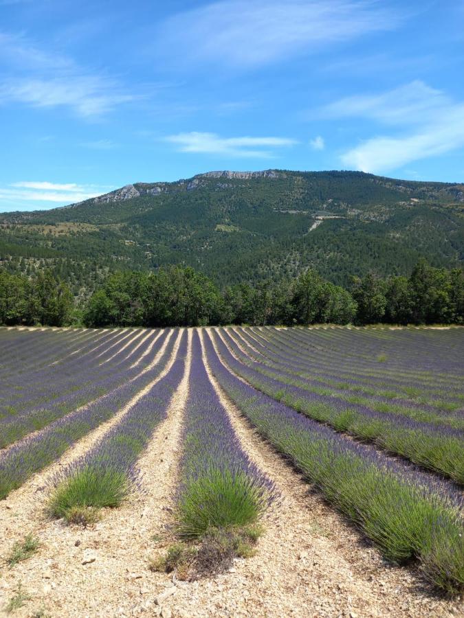 La Plume Du Ventoux Holiday home *
